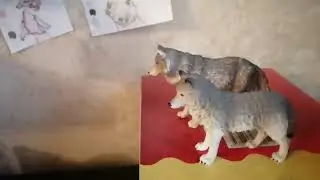 Жизнь Весты, Клыка и волчат Каспи и Эмили🐺🐺🐺