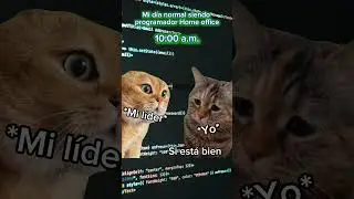 Mi día siendo programador Home Office 🧑‍💻👩‍💻🖥️🤣