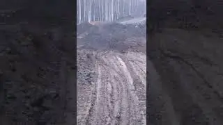 7 ноября 2023 г.