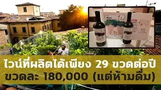 ไร่ไวน์ที่เล็กที่สุดในโลก แพงมากแต่ห้ามดื่มซะงั้น!