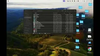 Microsoft Excel Demo