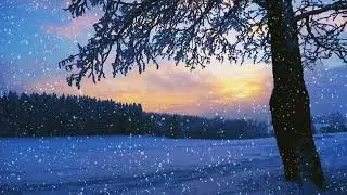 snow fall