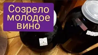 Есть 1е результаты виноделия!.Тестирую шланг для слива вина .
