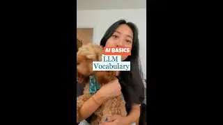 Vocabulary you should know about LLMs