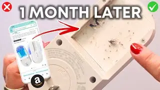 Bug MD Fly Trap | Honest Review