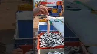 ЖИЗНЬ ИНДИЙСКИХ РЫБАКОВ👍🤪🤗