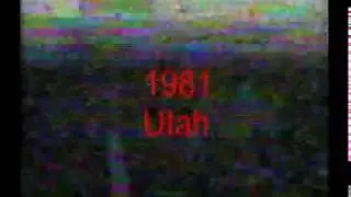 1981