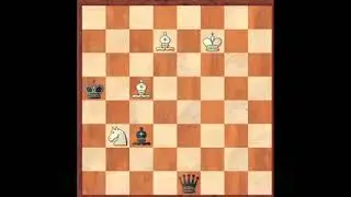 Chess Beauty #95