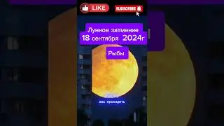 #рыбы