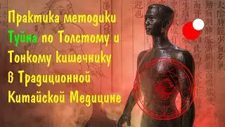 Практика методики Туй На по Толстому и Тонкому кишечнику в Традиционной Китайской Медицине