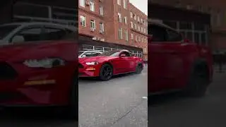 ford mustang ecoboost 2.3 burnout