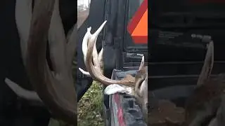 Who's Ready for this??Hunt 2024 #huntingseason #2024huntingseason #whitetaildeer #hunting