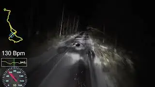 Iltalenkki 20241129