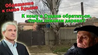 Сухие деревья над нашими головами! Кто недорабатывает?