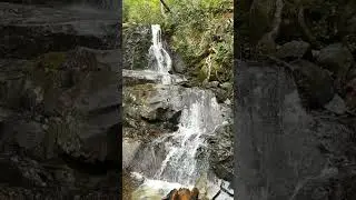 Smoky Mountains #shortvideo #shortsvideo #shorts #short ￼