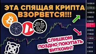 САМАЯ НЕДООЦЕНЕННАЯ КРИПТОВАЛЮТА СЕЙЧАС! Горячие Альткоины на Осень 2021! Буллран Биткоина Закончен