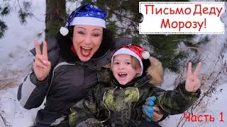 Письмо Деду Морозу под Новый Год. Часть первая.