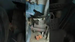 11 июня 2024 г.