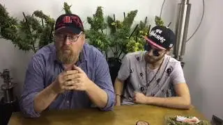 sometimes get stoned and say it