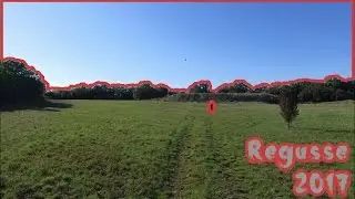 Cerf volant à Régusse ( Var )