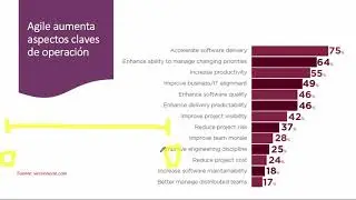 IT Service [Iniciativa Scrum Colombia]  Estadisticas desde Colombia