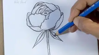 How to draw a flower step by step easy | Pencil Drawing