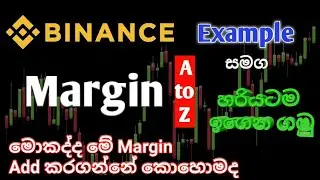 Margin ගැන හා add කරන විදිය හරියටම දැන ගමු..