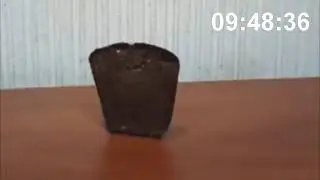 хлеб упадёт через 10 часов