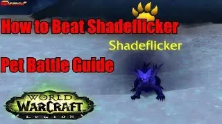 Shadeflicker Pet Battle Guide - Legion