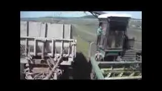 Кормозаготовка. Погрузка сенажа