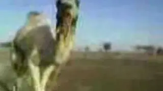 فصائح اوباما  في الحمام