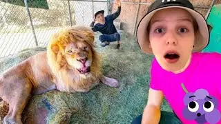 24 Часа В ЗООПАРКЕ ЧЕЛЛЕНДЖ! 🐯 