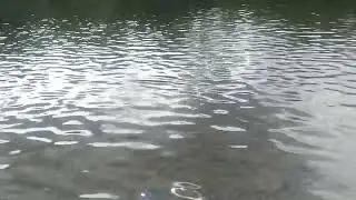 река Бисерть