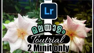 വളരെ എളുപ്പത്തിൽ LIGTHROOM എഡിറ്റിംഗ് പഠിക്കാം | LIGTHROOM | COLOR GRADING mobil editing app