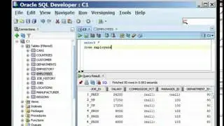 Querying a table in oracle