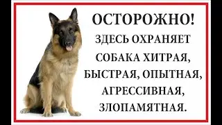 Защищаем и охраняем плент