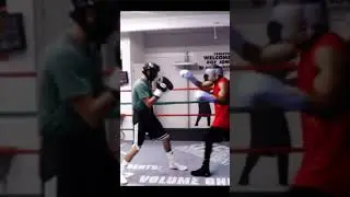 Roy Jones jr. shows the perfect jab in sparring