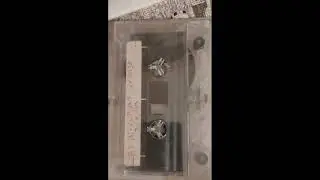Bi-Curious George. Live on KDVS. 3-8-1993