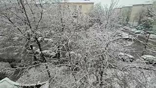 A venit iarna la Oradea În 2025 și-a întrat cu adevărat în drepturi