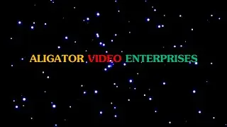 Aligator Video Enterprises Logo (Greece, 1980's) - A Logo That Could Be
