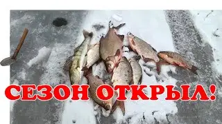 Рыбалка на Дону. Сезон Открыл! ▶ Ice Fishing 2023 | 