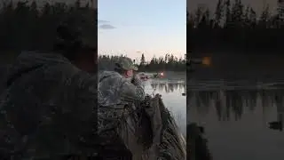 Jump Shooting Ducks From Blind! | 