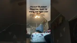 Vicious Blanket Monster tries to steal cat then dies #cat #animals #funny