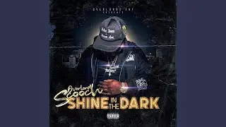 Shine in the Dark