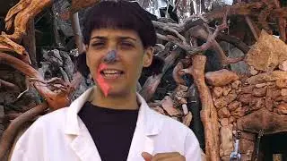 SCIENCE IS THE NEW MAGIC - Special Head's Levitation Kids Show Sample