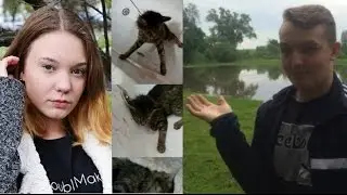 В Пензе активисты будут следить за судьбой взятых из приюта питомцев (Живодеры из Пензы)