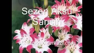 Sezen Aksu - Sarışın - http://www.cicekmerkezi.com