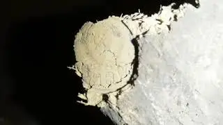 Коп монет! Чердачно домашний