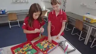 An Overview of Primary at SISD