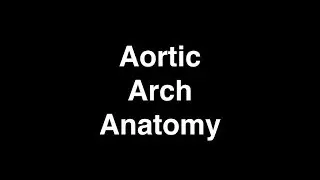 Anatomy of the aortic arch and its branches in 6 minutes
